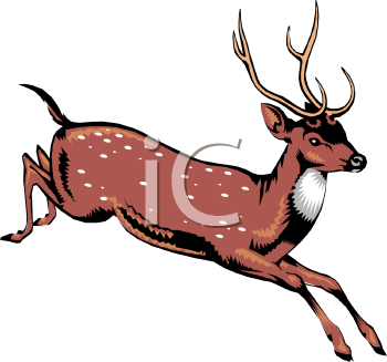 Caribou Clipart