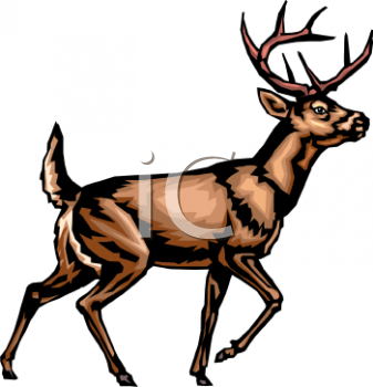 Caribou Clipart