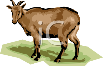 Caribou Clipart