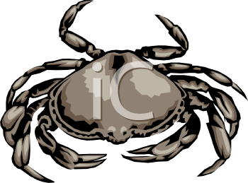 Crab Clipart