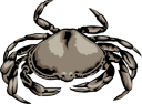 Crab Clipart