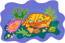 Fish Clipart