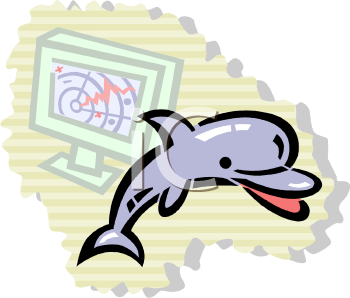 Dolphin Clipart