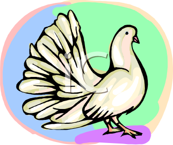 Dove Clipart