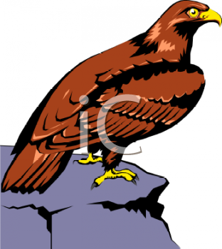 Eagle Clipart