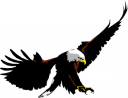 Eagle Clipart