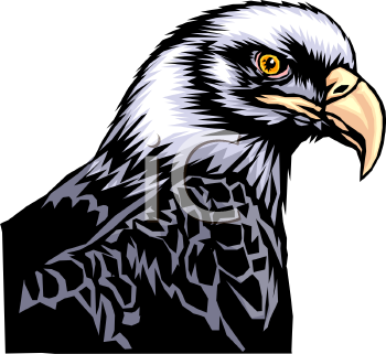 Eagle Clipart