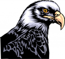 Eagle Clipart