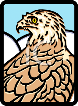 Eagle Clipart