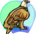 Eagle Clipart