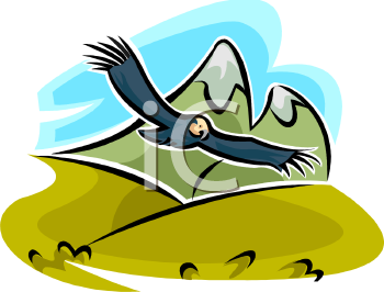 Eagle Clipart