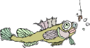 Fish Clipart