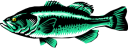 Fish Clipart