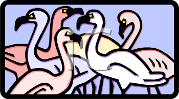 Flamingo Clipart