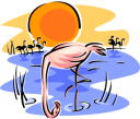 Flamingo Clipart