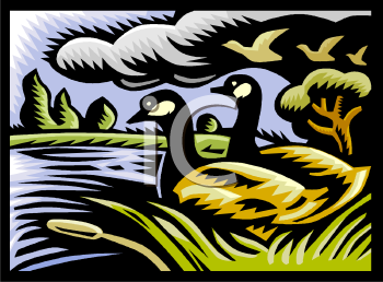 Geese Clipart