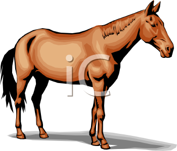 Horse Clipart