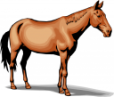 Horse Clipart