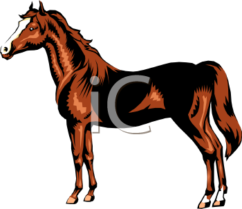 Horse Clipart