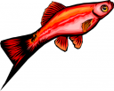 Fish Clipart