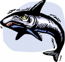 Fish Clipart