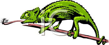 Chameleon Clipart