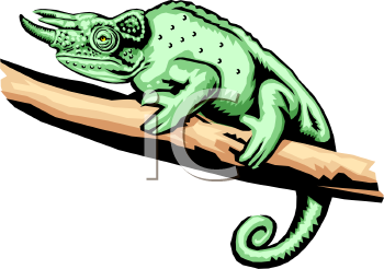 Chameleon Clipart