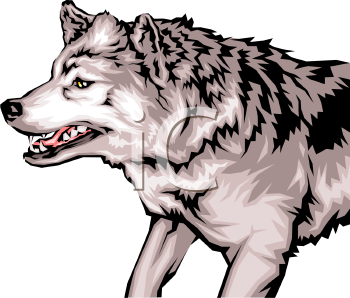 Coyote Clipart