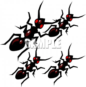 Bug Clipart