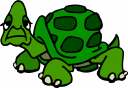 Tortoise Clipart