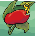 Pepper Clipart