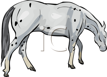 Horse Clipart