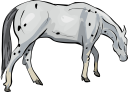 Horse Clipart