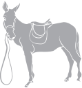 Horse Clipart