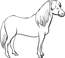 Horse Clipart