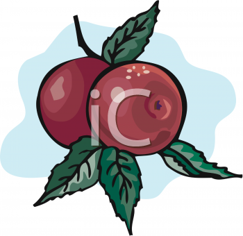 Apple Clipart