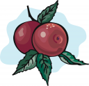 Apple Clipart