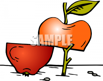 Apple Clipart