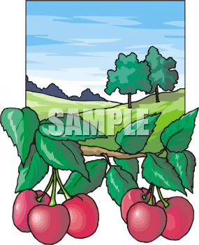 Produce Clipart