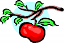 Apple Clipart