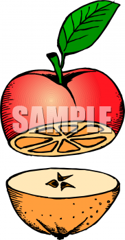 Apple Clipart