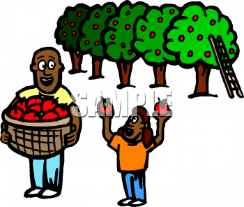 Apple Clipart