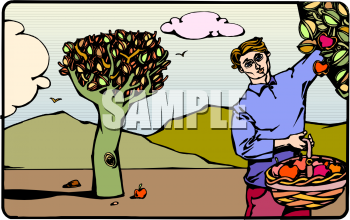 Apple Clipart