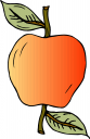 Apple Clipart