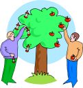 Apple Clipart