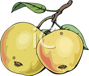 Apple Clipart