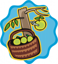 Apple Clipart