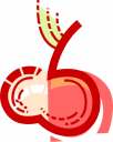 Apple Clipart