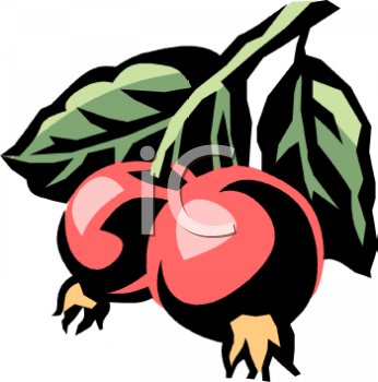 Apple Clipart