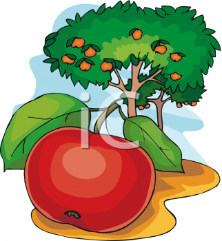 Apple Clipart